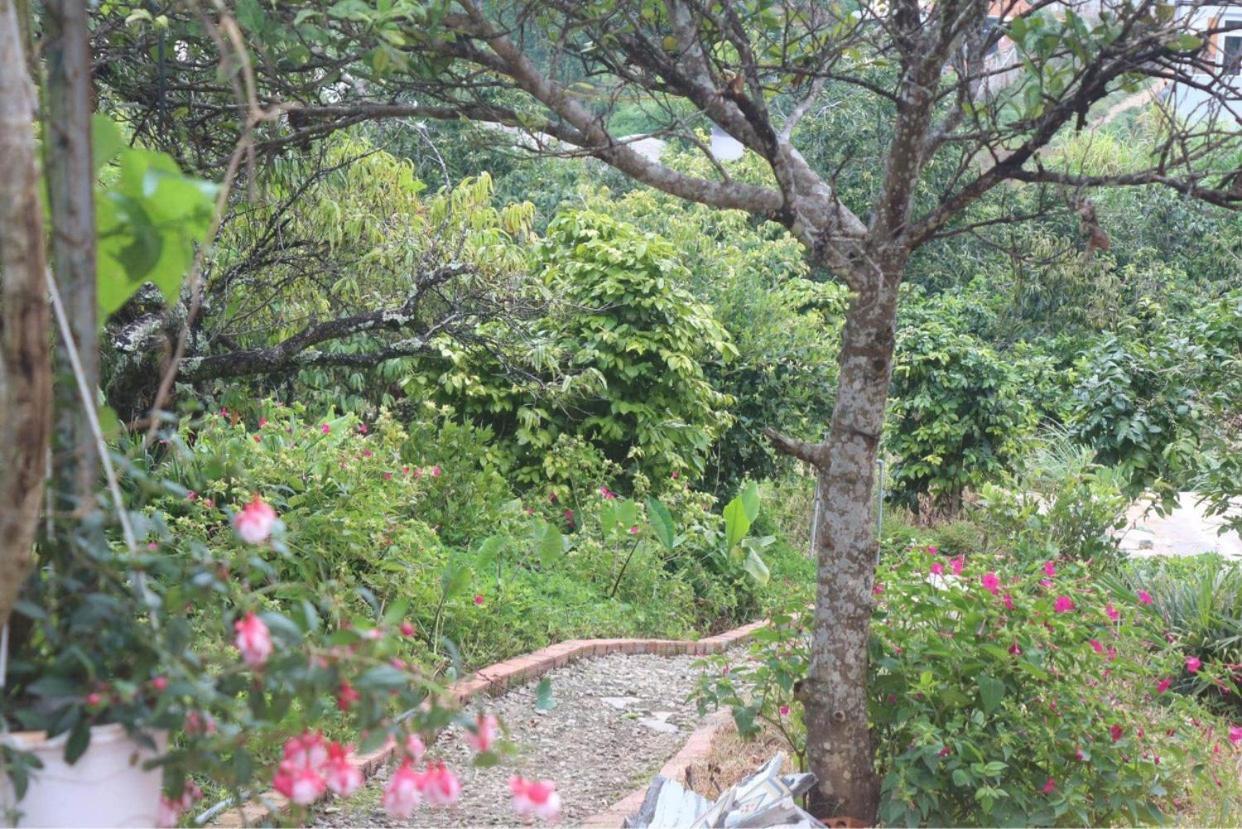 Tháng Năm Rực Rỡ - Dalat Homestay Exterior foto